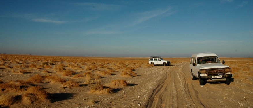 Ambulances in the Sahara