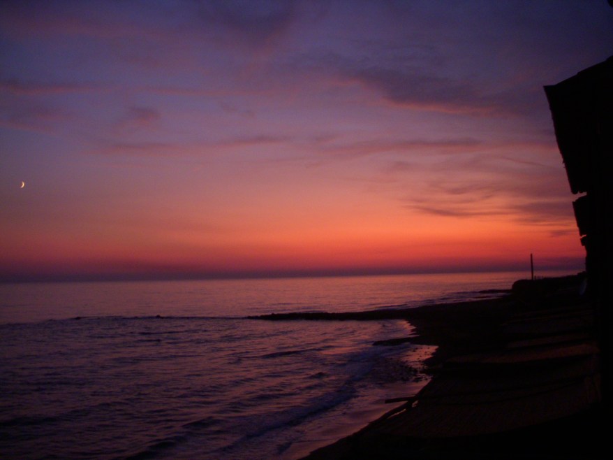 Watching the sunset every evening from their terrace