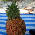 Pineapple on the&nbsp;beach