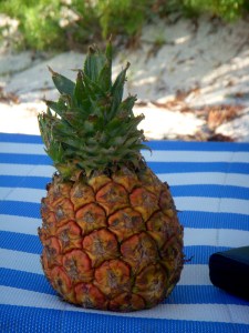 Pineapple on the beach