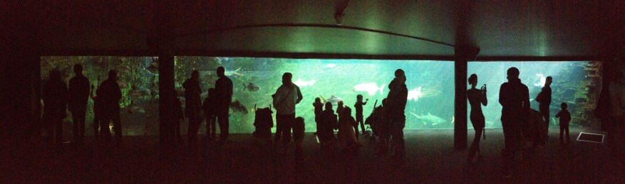 014576973ea79390b8550a64268e7e105aa8de3a2d