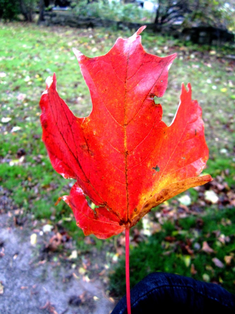 ???????????????????????????????