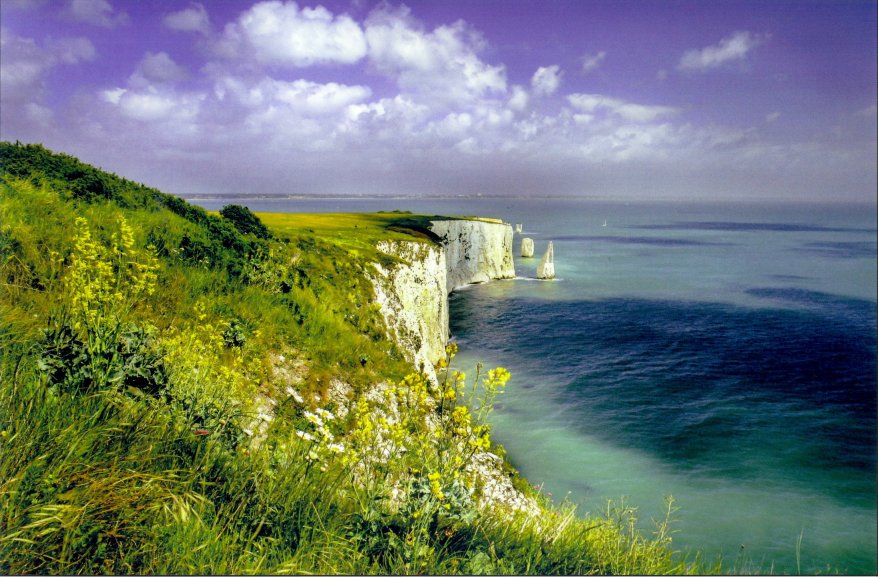 Old Harry Rocks Dorset Jurassic Coast postcard