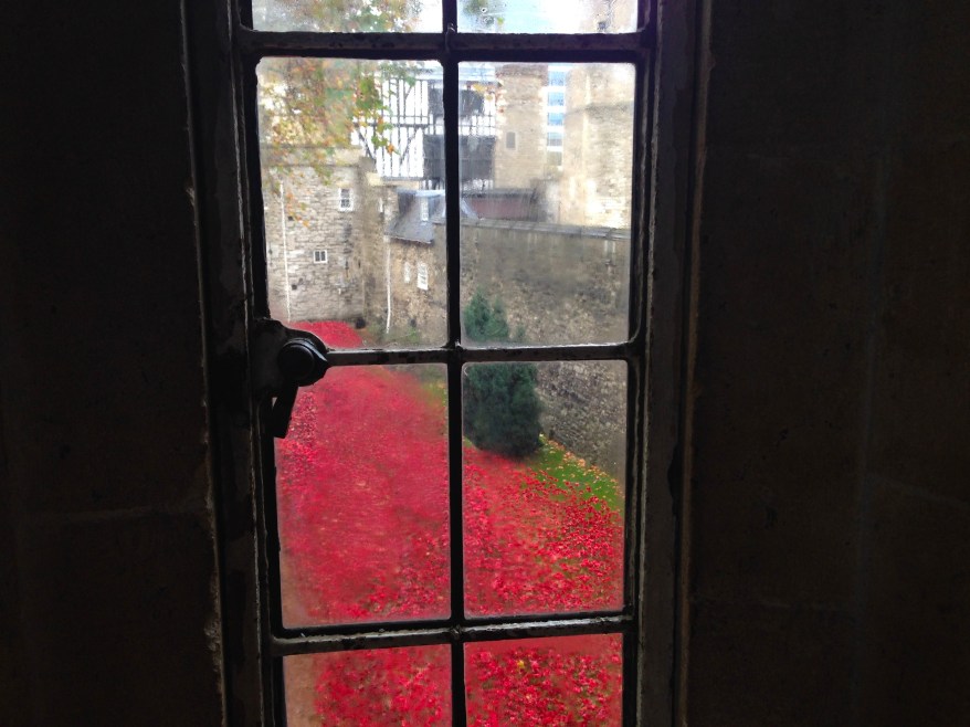 Poppies at Tower of London