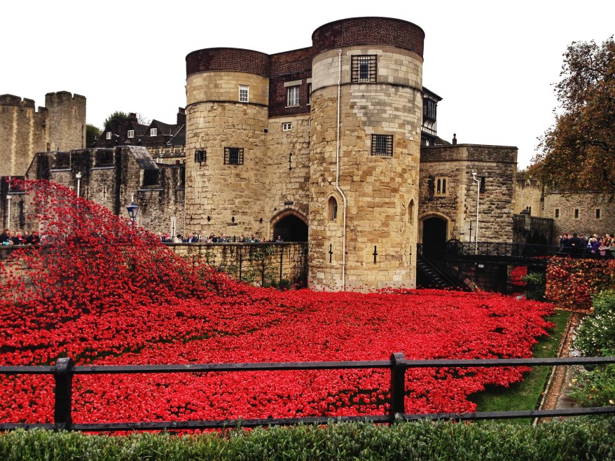 Poppies at Tower of London