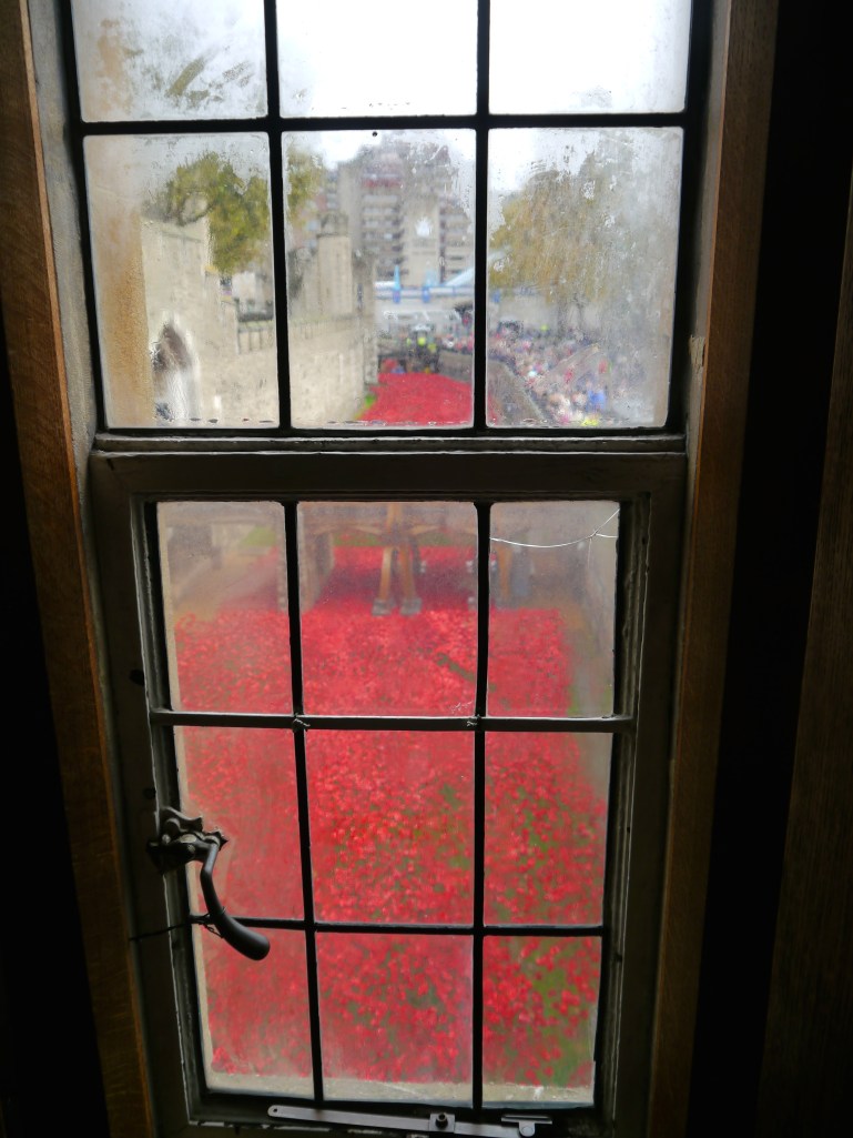 Poppies at Tower of London