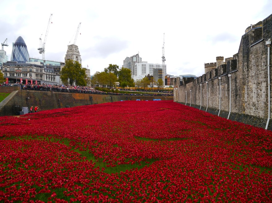 Poppies at Tower of London