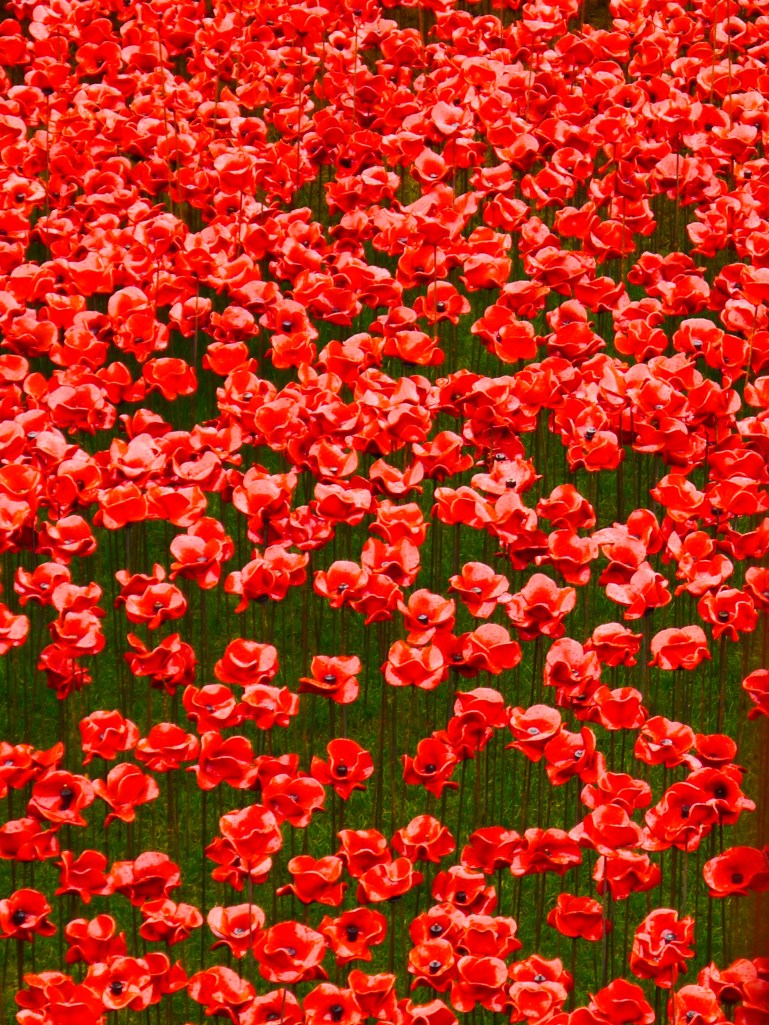 Poppies at Tower of London
