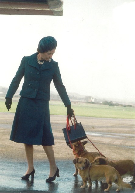 Postcard of the Week Queen