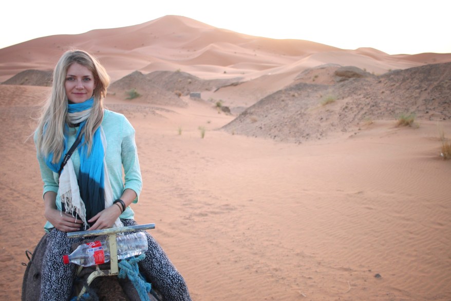 Camels in the Sahara near Merzouga