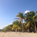 IMG_8742