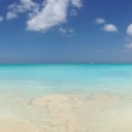 IMG_9117