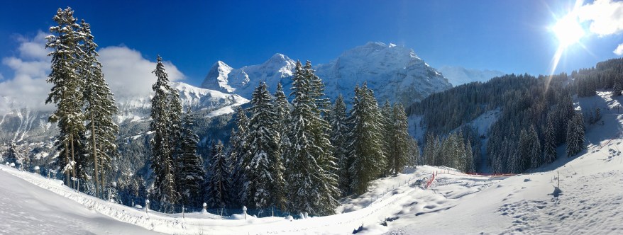 Snowy trees in Murren, Switzerland