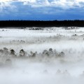 estonian flag landscape